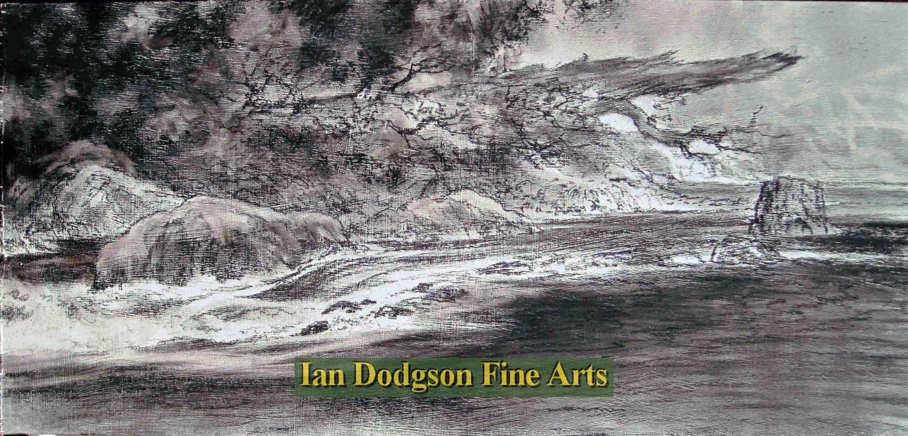 Jeremy Yates - Fallen Tree (Afon Llugwy) Charcoal on board (undated)