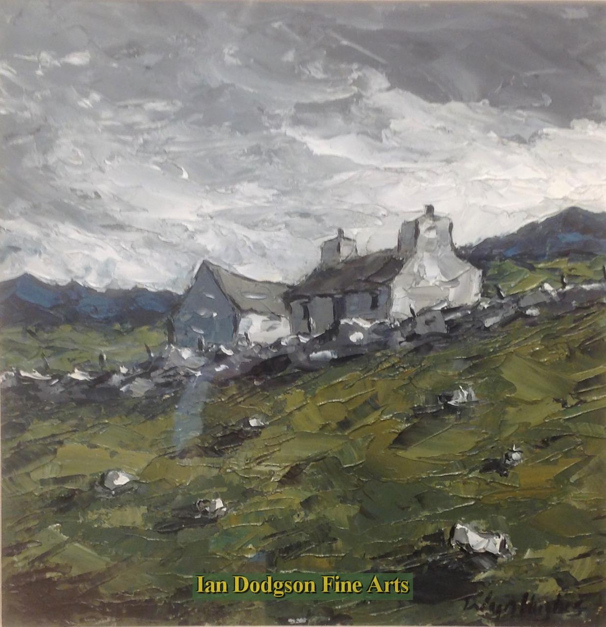 Cae Mur by Wyn Hughes